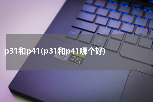 p31和p41(p31和p41哪个好)